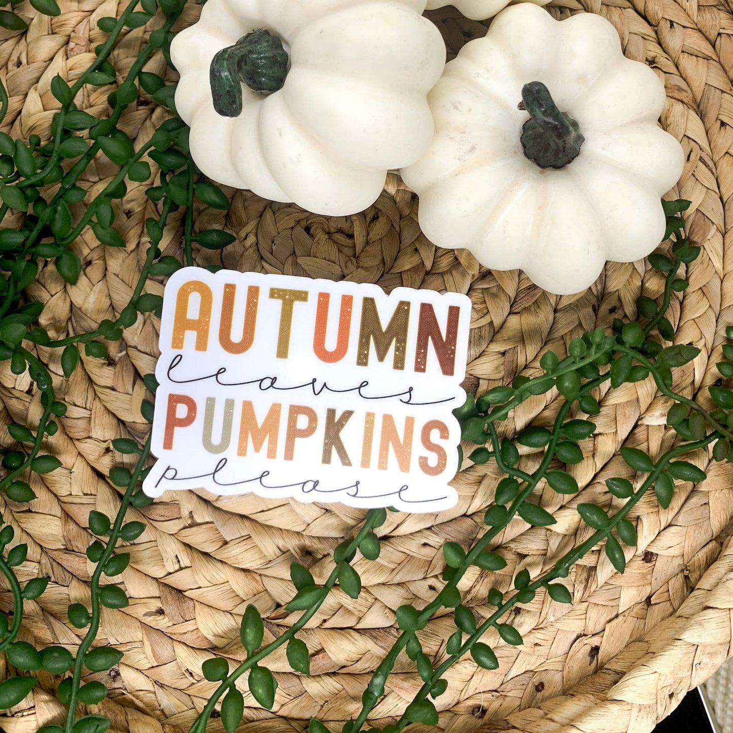 Autumn Leaves Pumpkin Please Clear, Vinyl Sticker, 3x3 in.