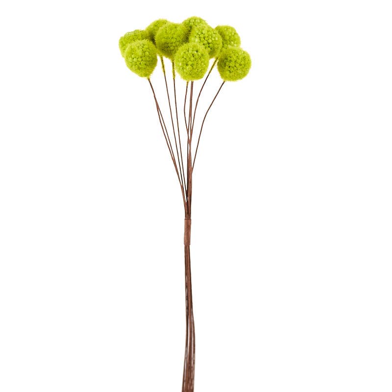 15" Spring Green Pom Pom Thistle Floral Pod Bundle