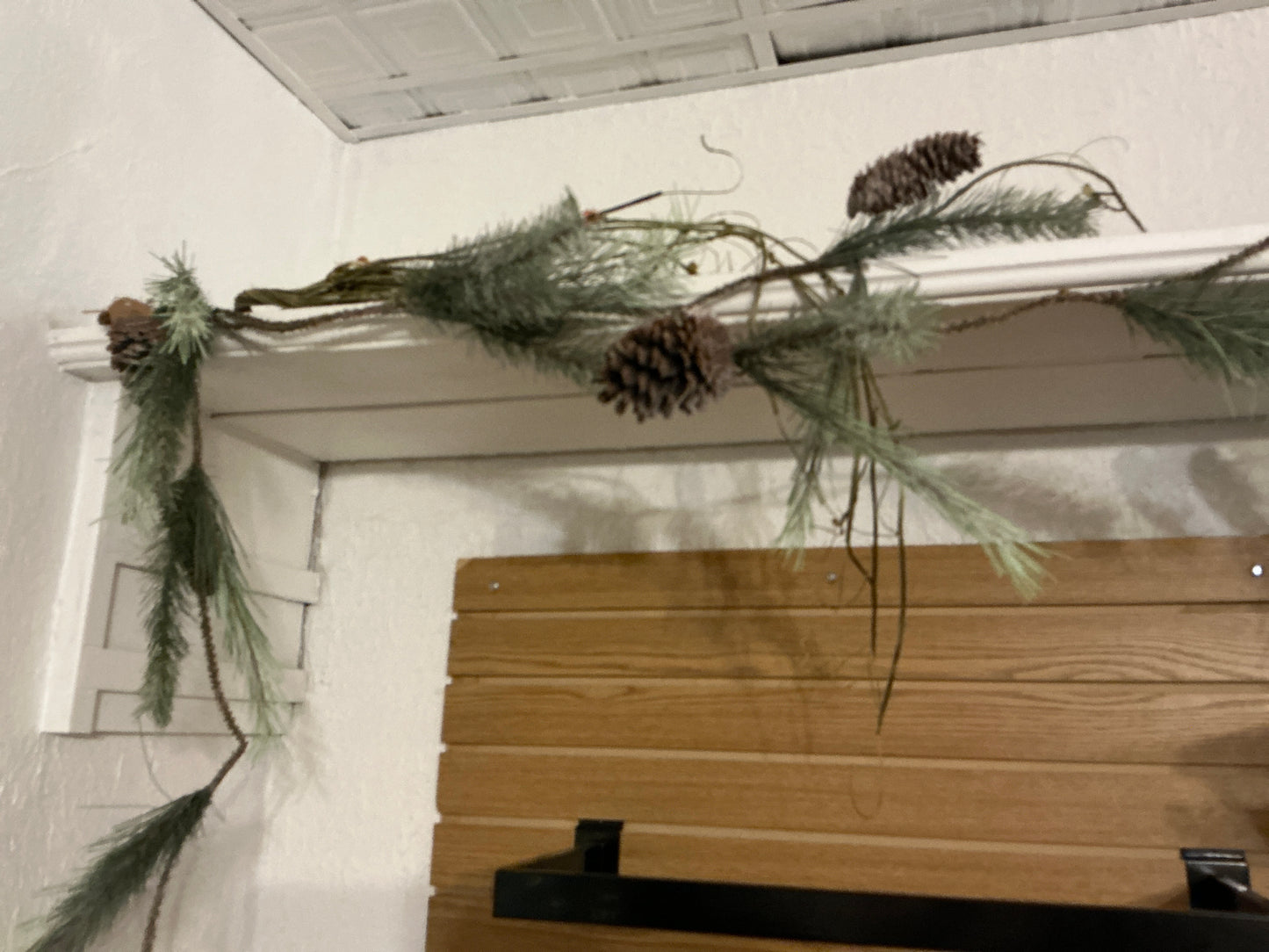 Cascade Evergreen Pine/Birch