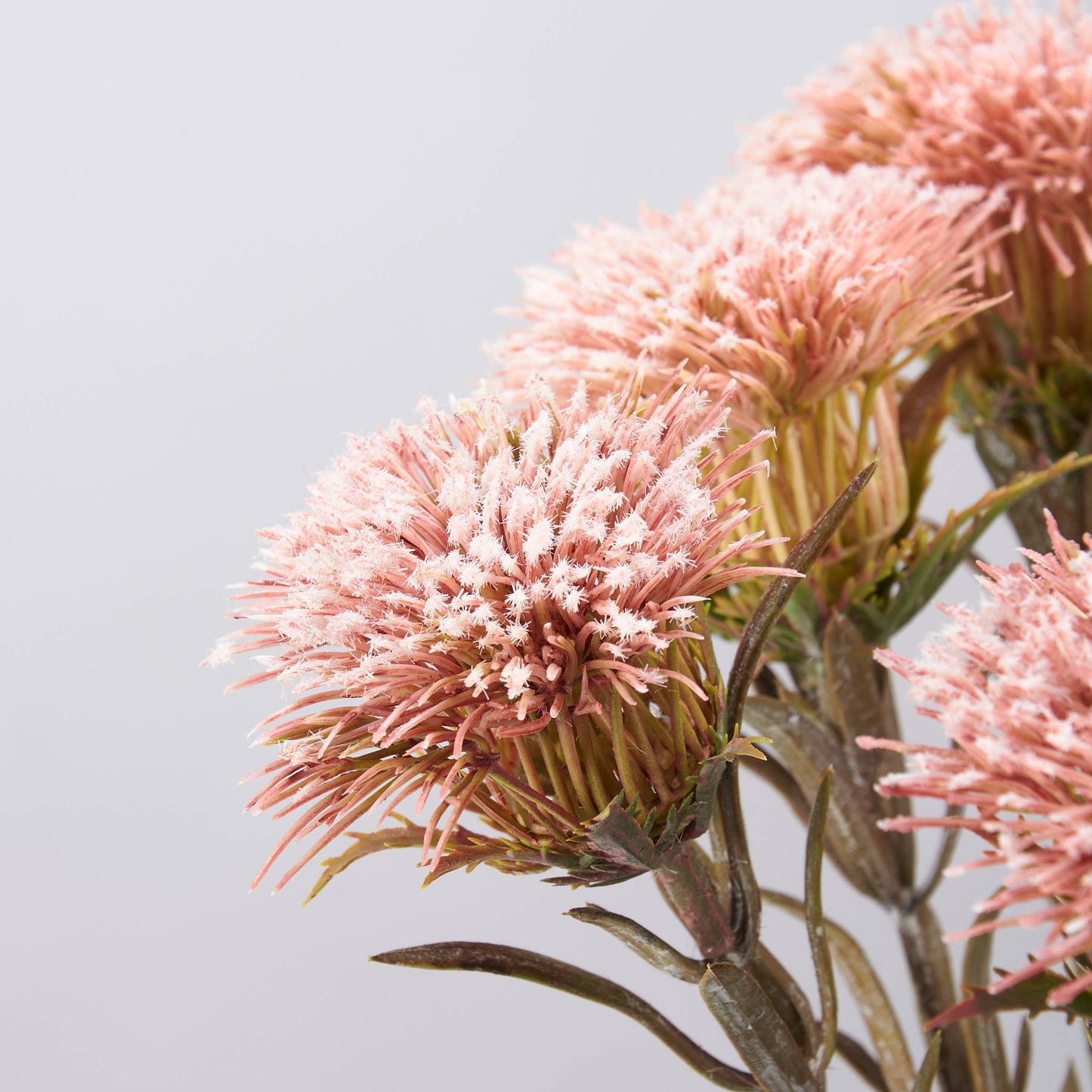 Pink Thistle Floral Pick