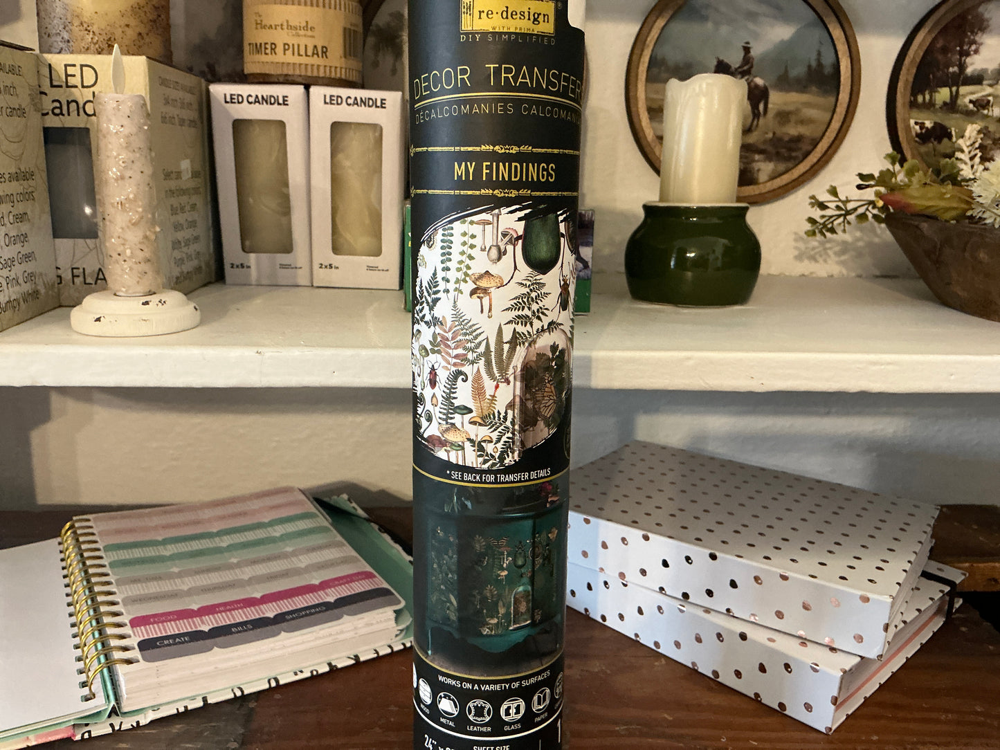 My findings Transfer