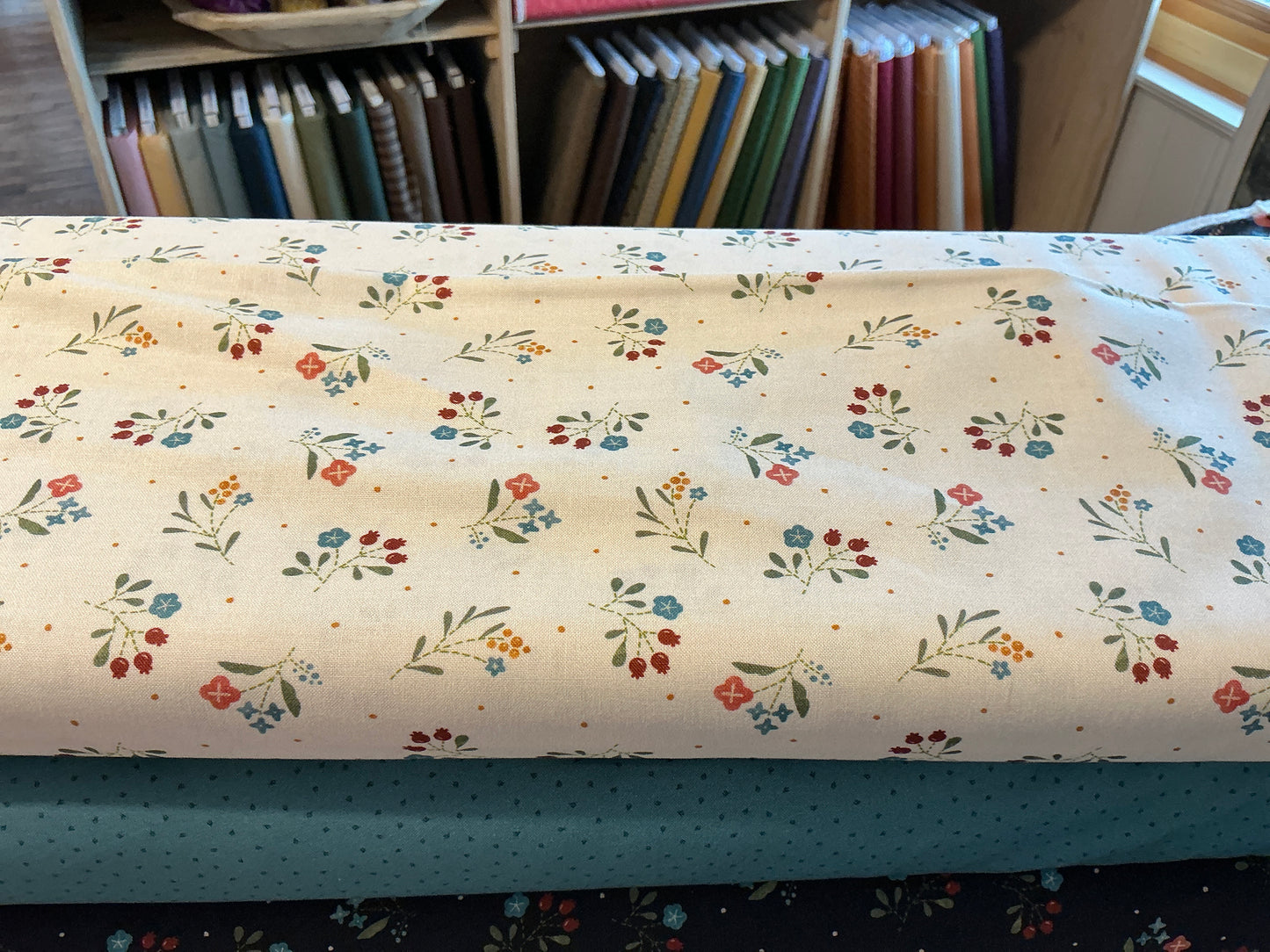 Woolly whims R791226D cream