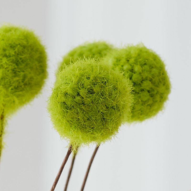 15" Spring Green Pom Pom Thistle Floral Pod Bundle
