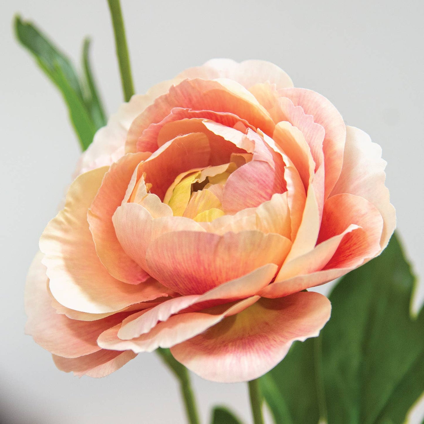 Blushing Peach Peony Spray - 23"H
