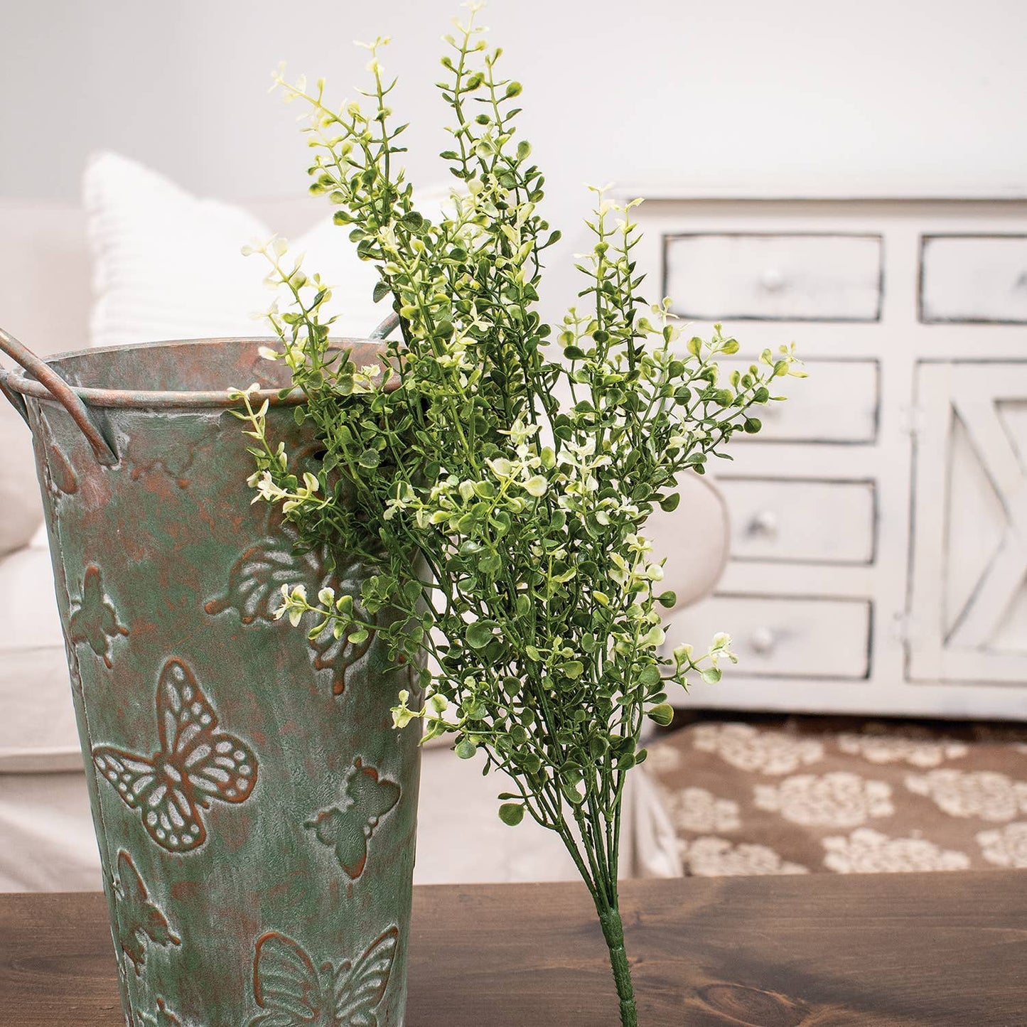 Cream Tipped Baby's Grass Bush - 21"