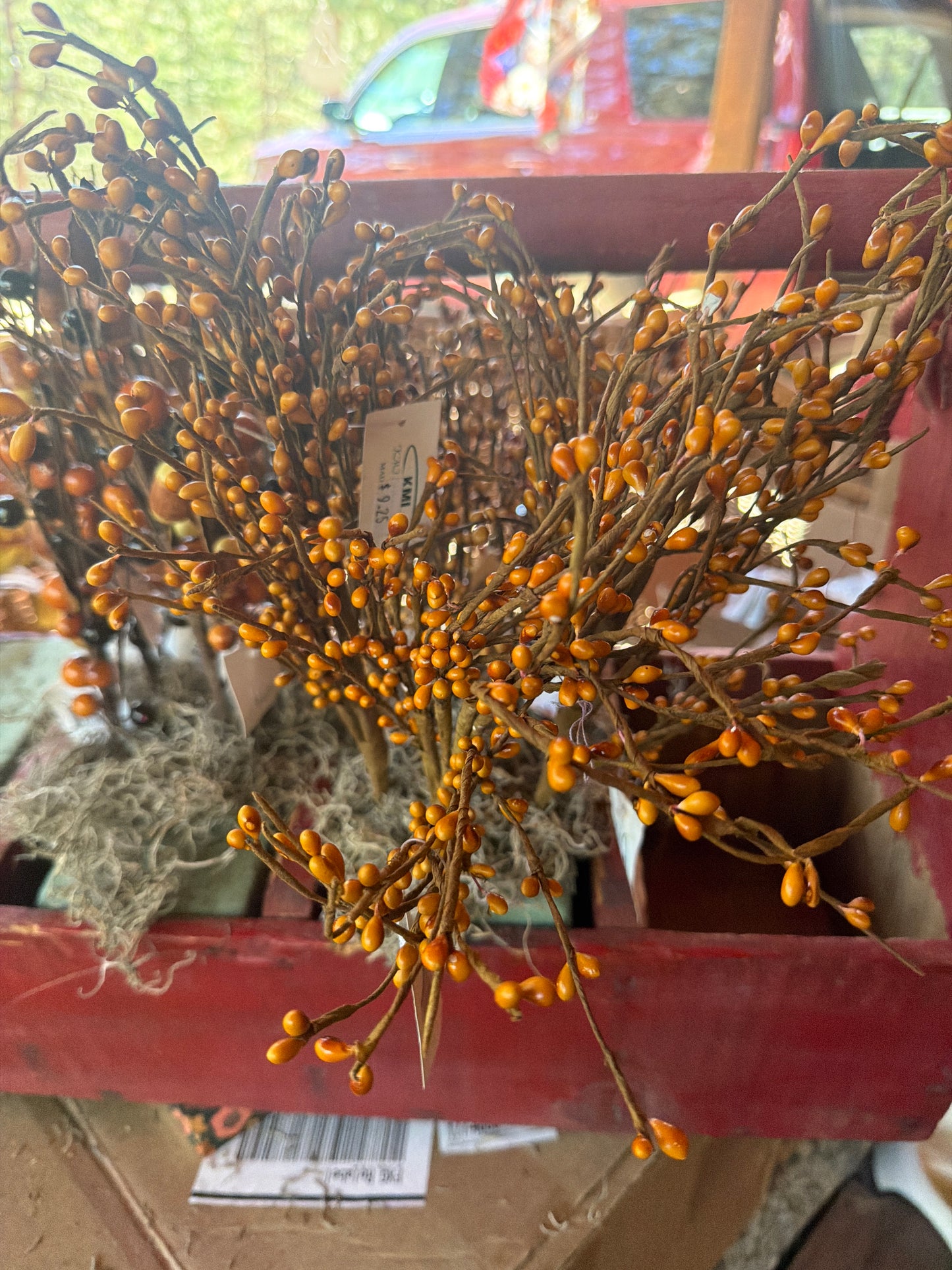 Large Berry Spray