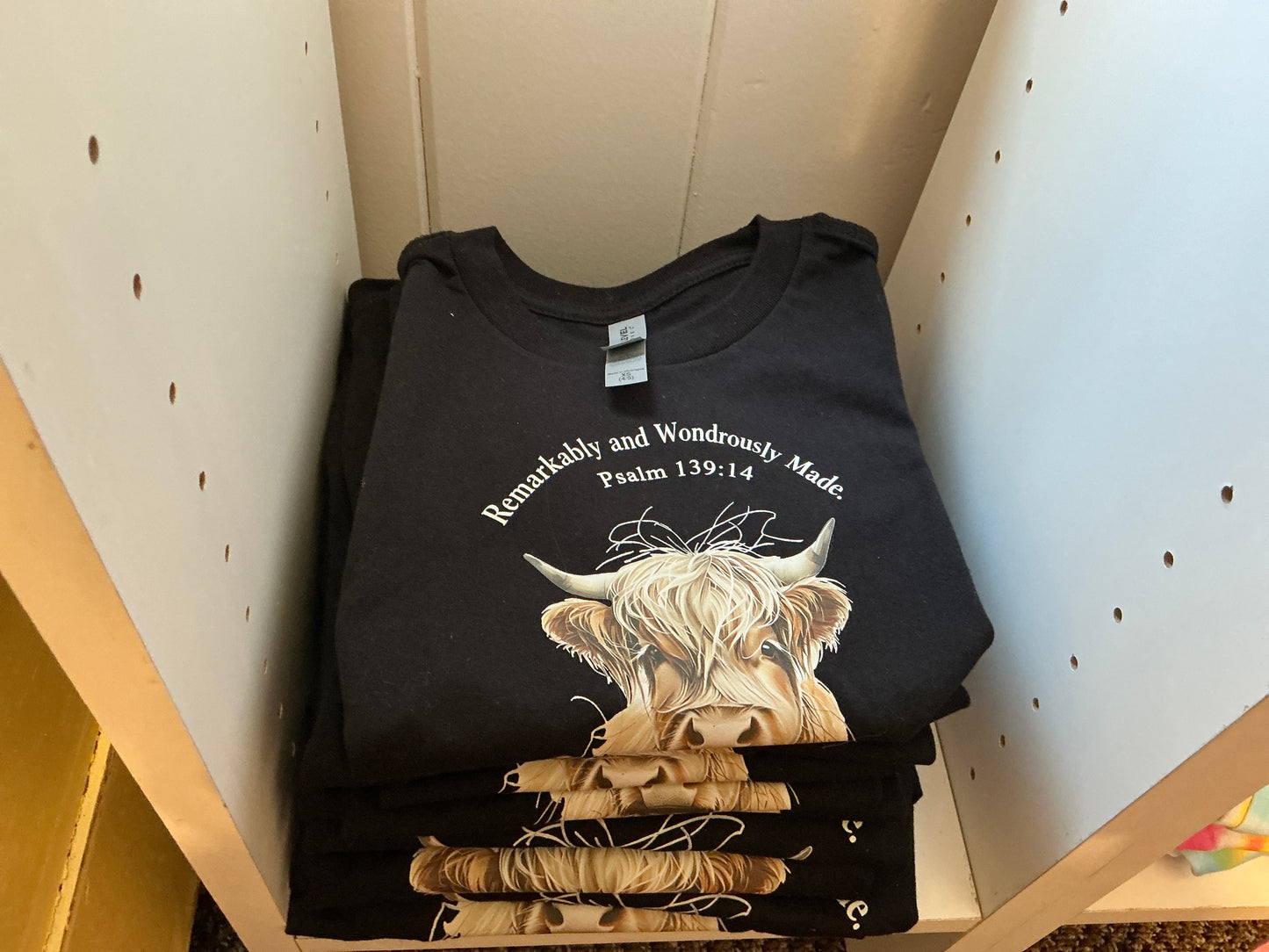 Black Highland Cow T-Shirt