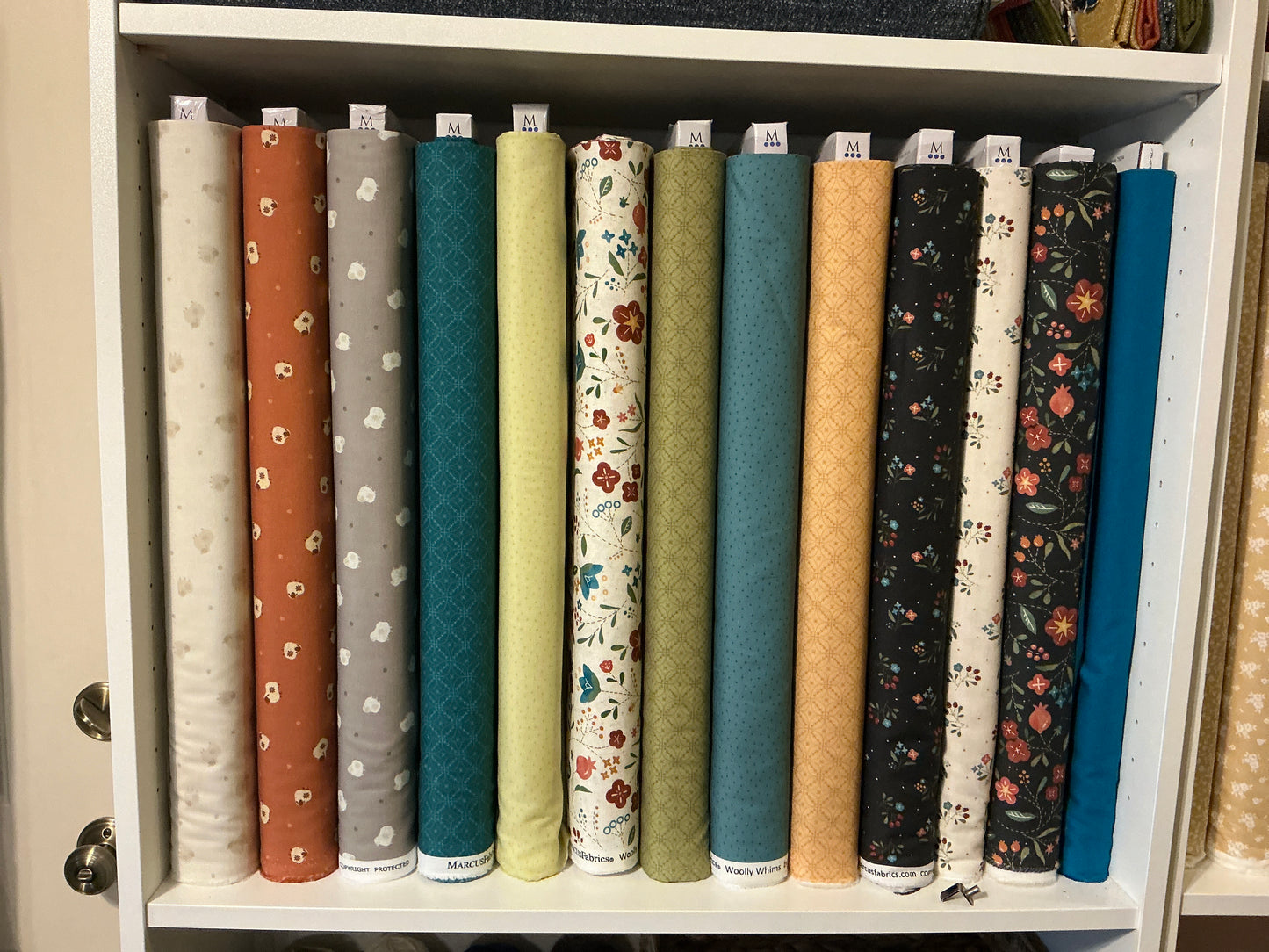 Woolly whims R791232D lime