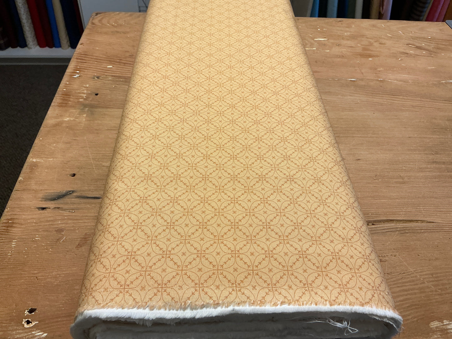 Woolly whims R791229D orange