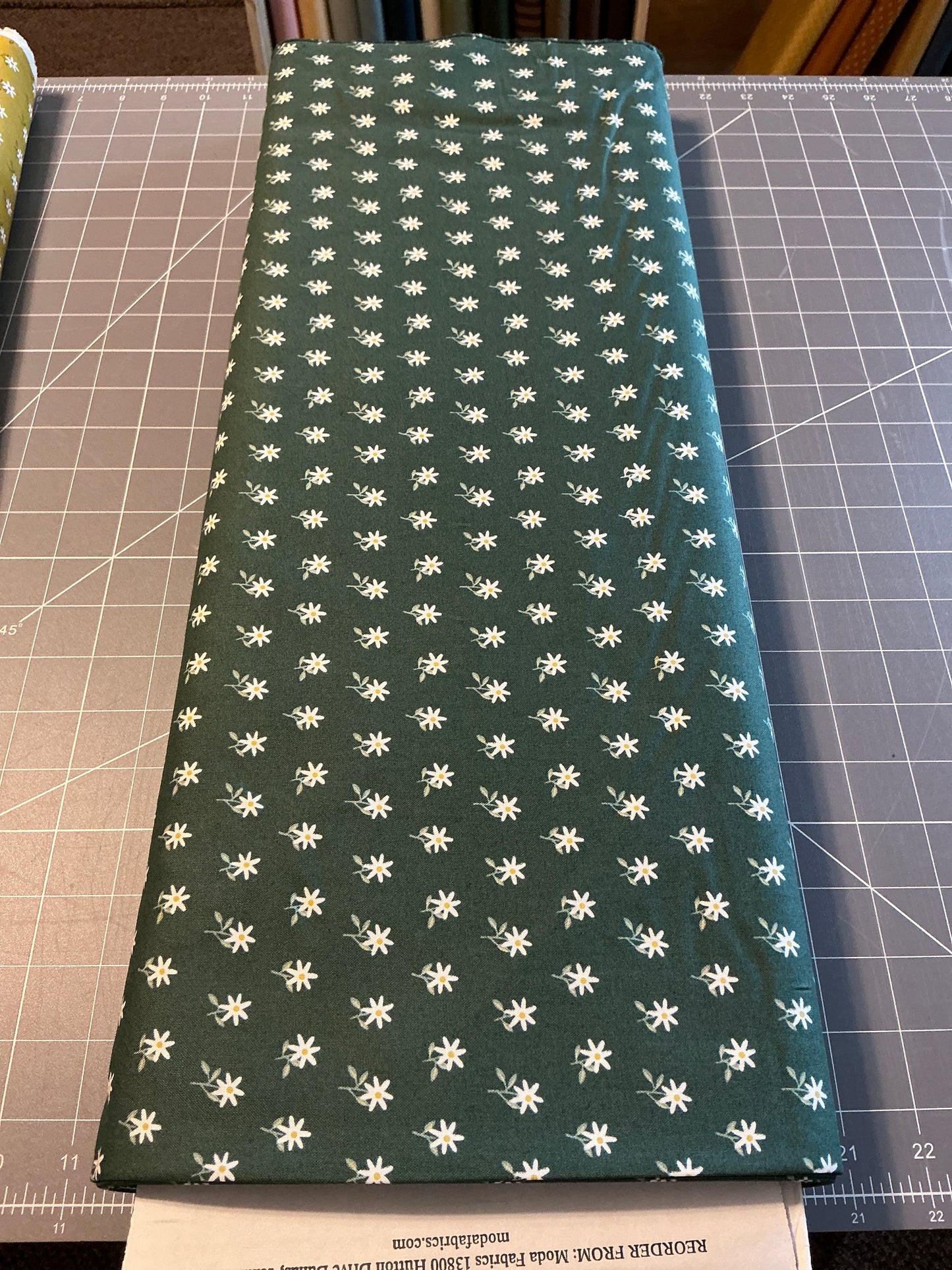 Imaginary flowers 84 16