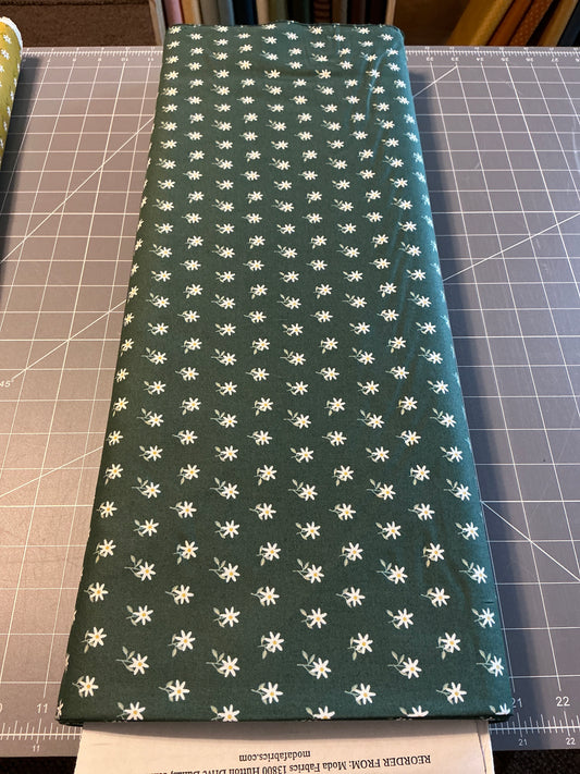 Imaginary flowers 84 16