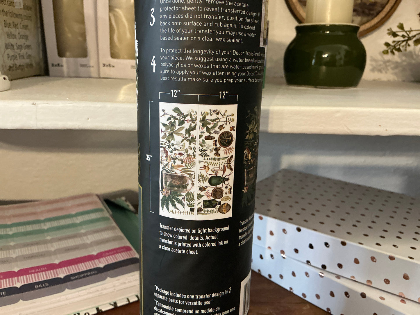 My findings Transfer