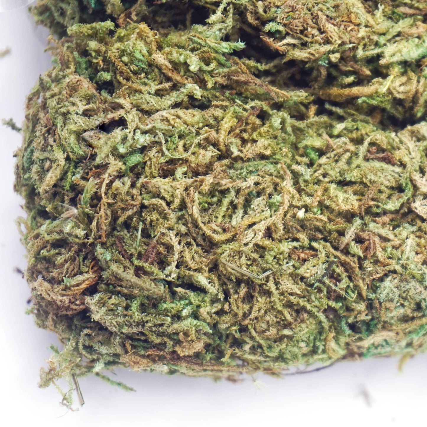 Green Moss, 40g