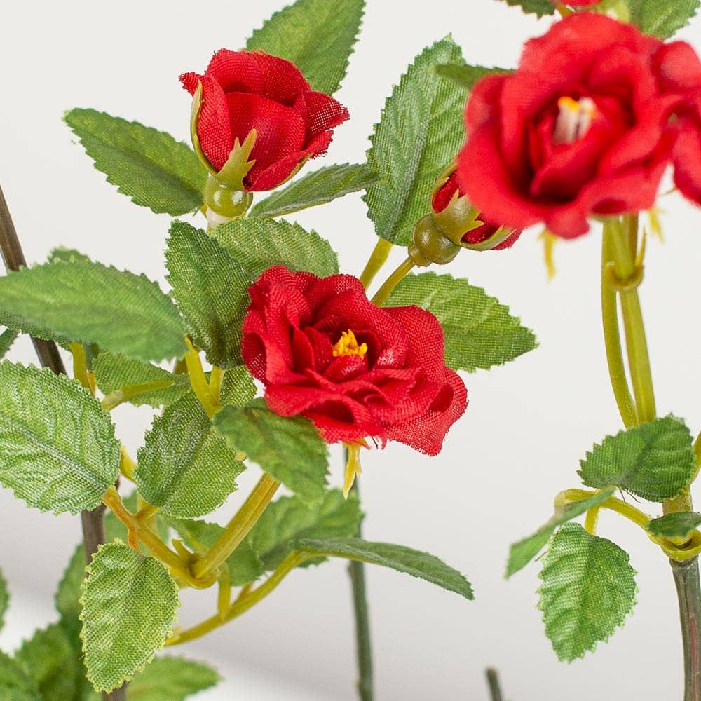 23" Artificial Dwarf  Starina Rose Stem - Select Color